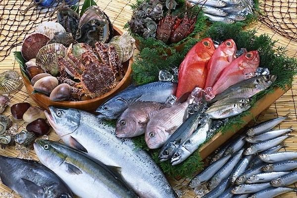 【東京都中野区】水産卸・魚一が手がける、大分の食文化が楽しめる新たな酒場がニューオープン