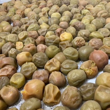 【東京都・神奈川県・新潟市・京都府・福岡県】“梅”と“茶殻”を使用した、新潟発のアップサイクル酒「レゾネコ 梅と茶」発売！
