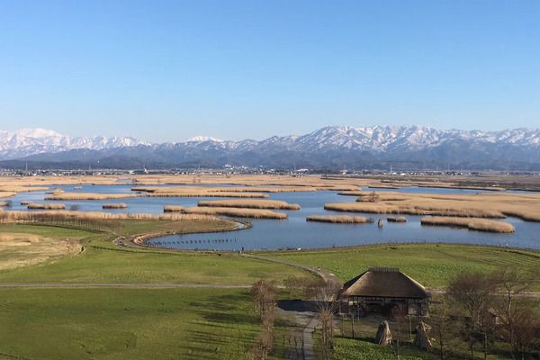 【東京都・神奈川県・新潟市・京都府・福岡県】“梅”と“茶殻”を使用した、新潟発のアップサイクル酒「レゾネコ 梅と茶」発売！