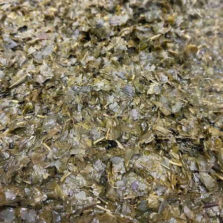 【東京都・神奈川県・新潟市・京都府・福岡県】“梅”と“茶殻”を使用した、新潟発のアップサイクル酒「レゾネコ 梅と茶」発売！