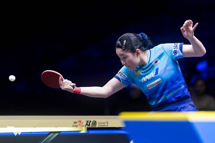 張本美和（C）WTT