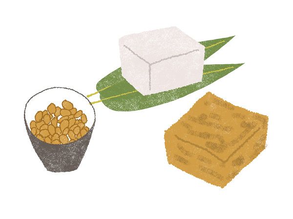 「大豆製品」：大豆のたんぱく質は優秀！女性にうれしい効果も