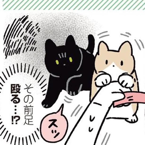その前足… （C）AKR／KADOKAWA