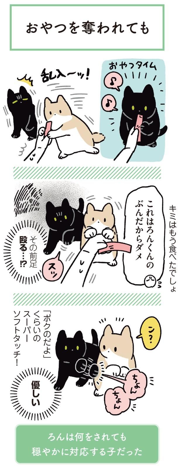 優しい （C）AKR／KADOKAWA