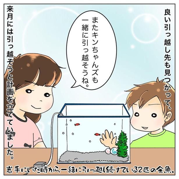 危ない夫の心臓1-3 やよいかめ(@yayoi_kame)