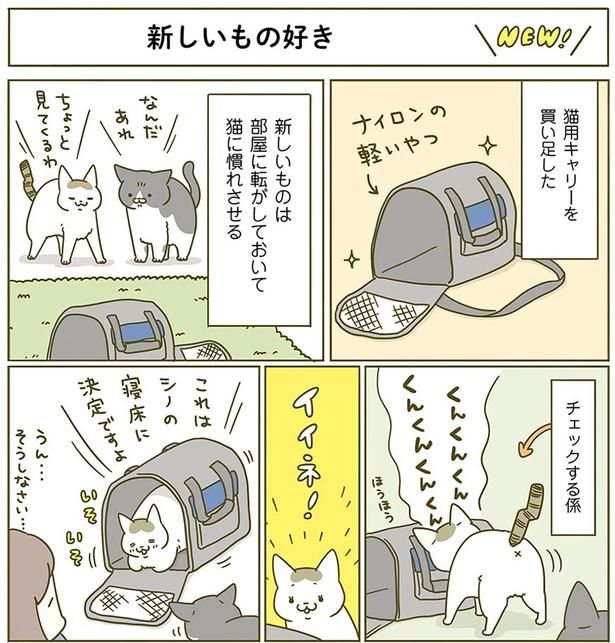 イイネ！ （C）卵山玉子／KADOKAWA
