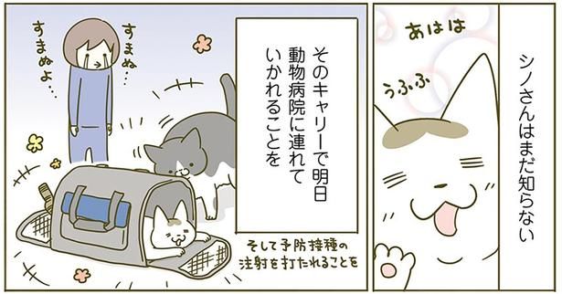 シノさんはまだ知らない （C）卵山玉子／KADOKAWA