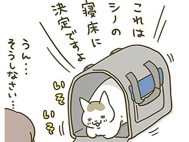 新しいキャリーを気に入った猫 （C）卵山玉子／KADOKAWA