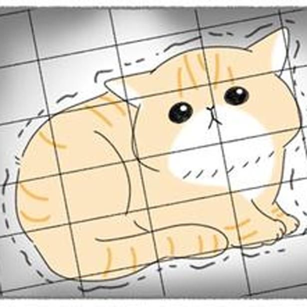 子どもにいじめられていた猫を保護 （C）ゆきよみ、にゃんかつ／KADOKAWA