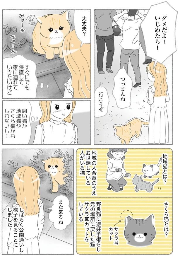様子を見ることにしました （C）ゆきよみ、にゃんかつ／KADOKAWA