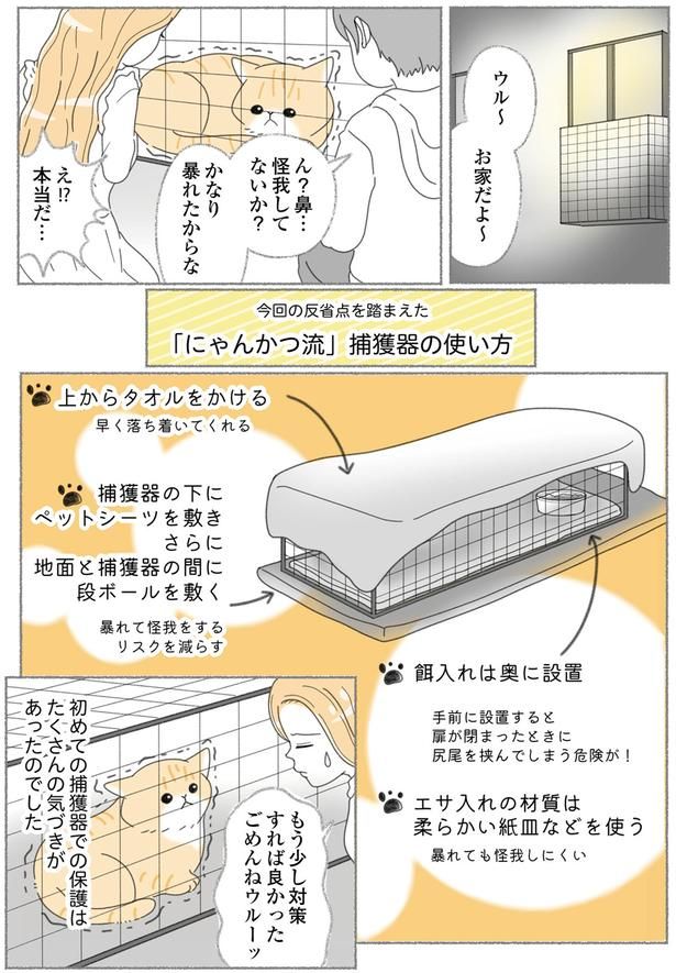 お家だよ～ （C）ゆきよみ、にゃんかつ／KADOKAWA
