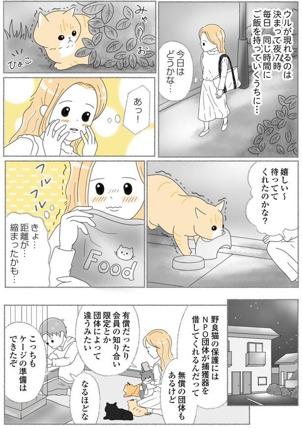 待っててくれたのかな？ （C）ゆきよみ、にゃんかつ／KADOKAWA