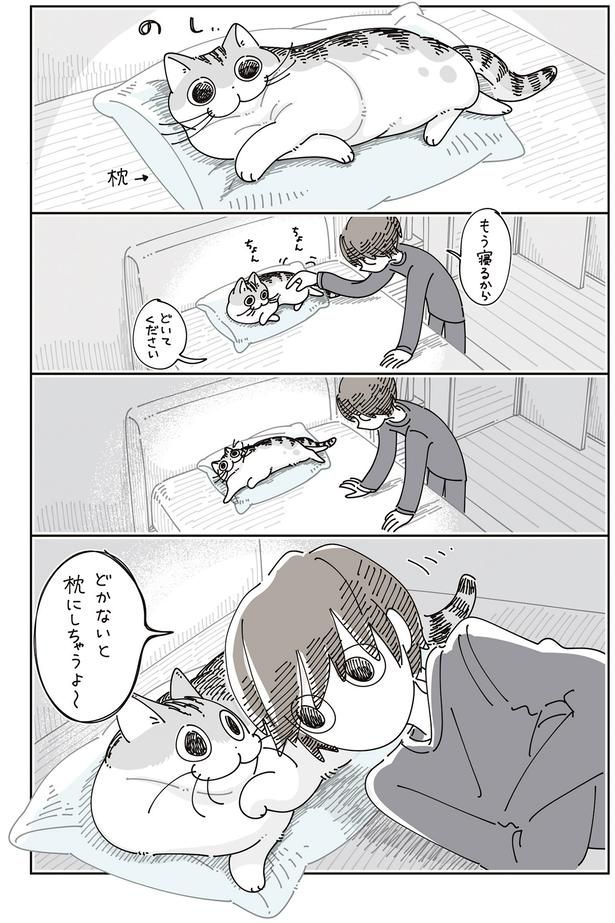どいてください （C）キュルZ／KADOKAWA