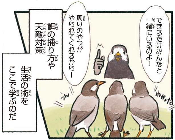 生活の術をここで学ぶのだ （C）piro piro piccolo／KADOKAWA