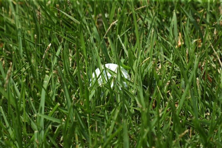 夏の深いラフはどう打つのが正解？男子プロが脱出法を紹介