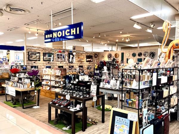 水に入れるとハンカチに変身！「ふくだるま」を使った、新しい山口土産が登場
