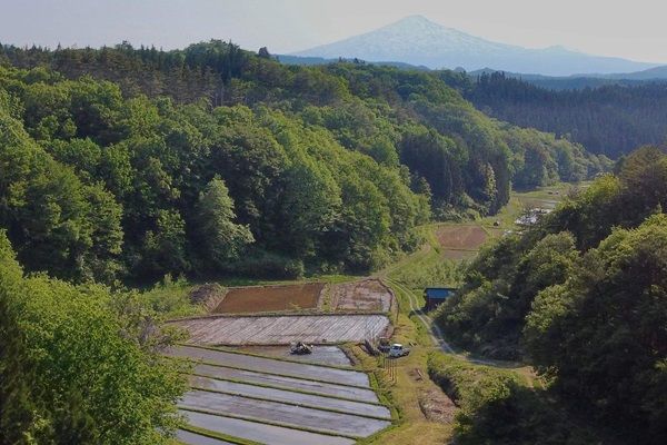 秋田県羽後町の特産品・はさがけ米100％使用のお菓子発売！伝統の味をサクサク食感で