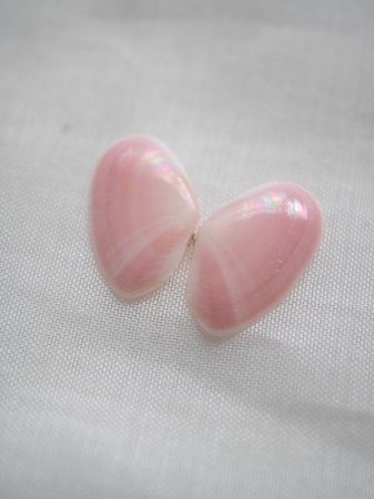 【神奈川県鎌倉市】桜貝アクセサリー専門店「Lino Drops Kamakura」10周年！年に1度の販売会を新規客にも