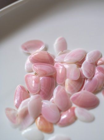 【神奈川県鎌倉市】桜貝アクセサリー専門店「Lino Drops Kamakura」10周年！年に1度の販売会を新規客にも