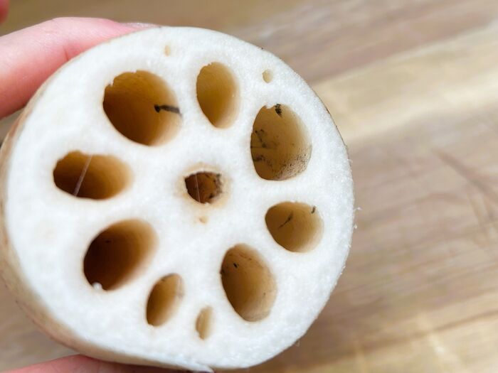 レンコンの穴が黒い…これって食べても大丈夫？正しい洗い方を調べてみた。
