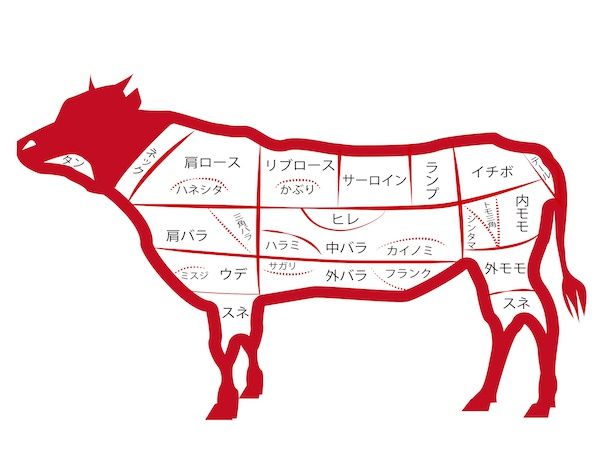 部位の違い