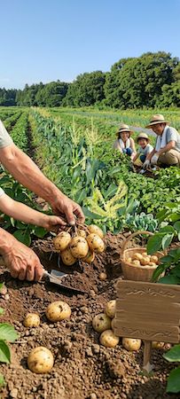 【千葉県長柄町】オープン6周年の農園料理カフェ「大地の恵み」、野菜収穫体験とBBQの夏予約を開始