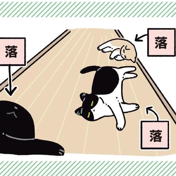 廊下で並んでくつろぐ猫たち （C）AKR／KADOKAWA