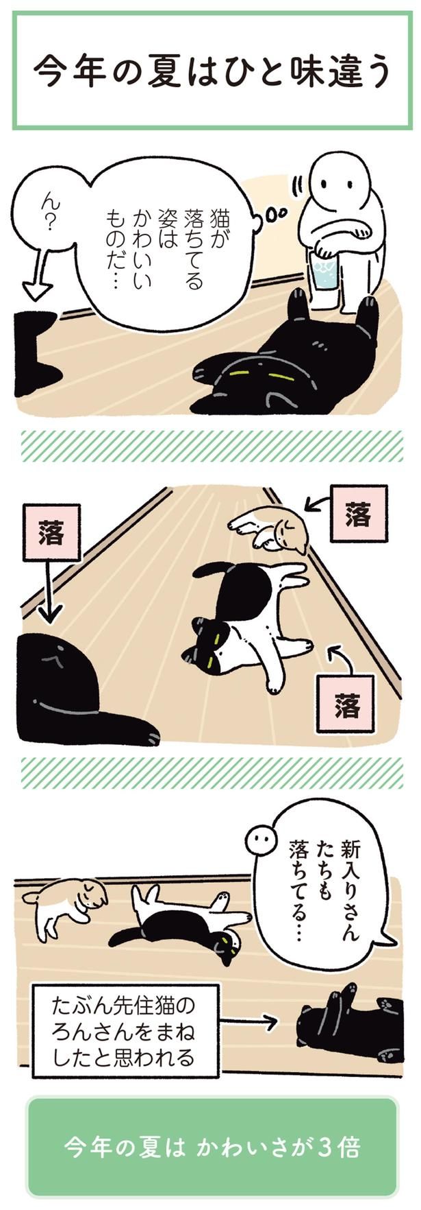 新入りさんたちも落ちてる… （C）AKR／KADOKAWA