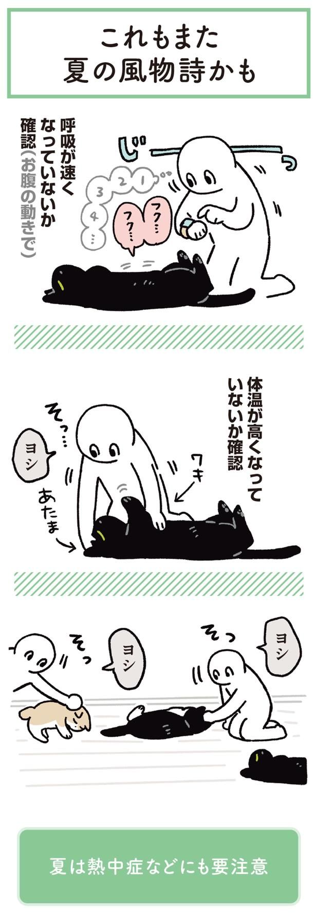 ヨシ （C）AKR／KADOKAWA