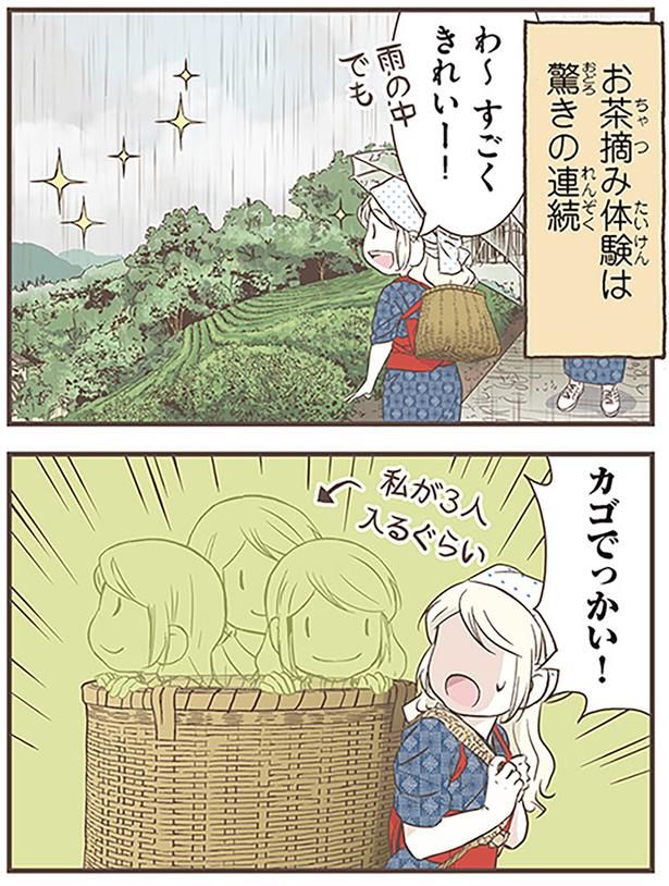 カゴでっかい！ （C）オーサ・イェークストロム／KADOKAWA