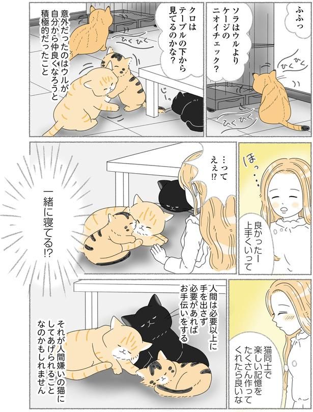 積極的だったこと （C）ゆきよみ、にゃんかつ／KADOKAWA