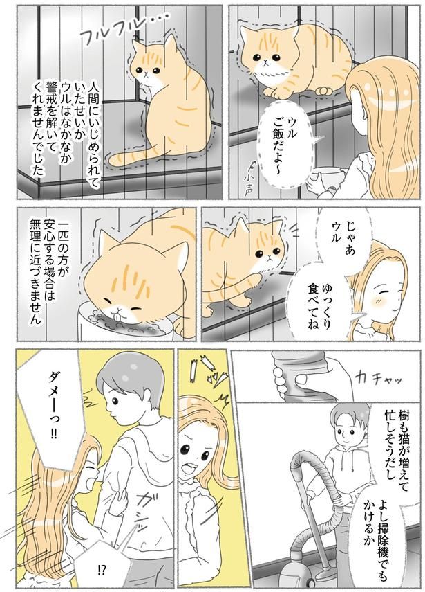 無理に近づきません （C）ゆきよみ、にゃんかつ／KADOKAWA