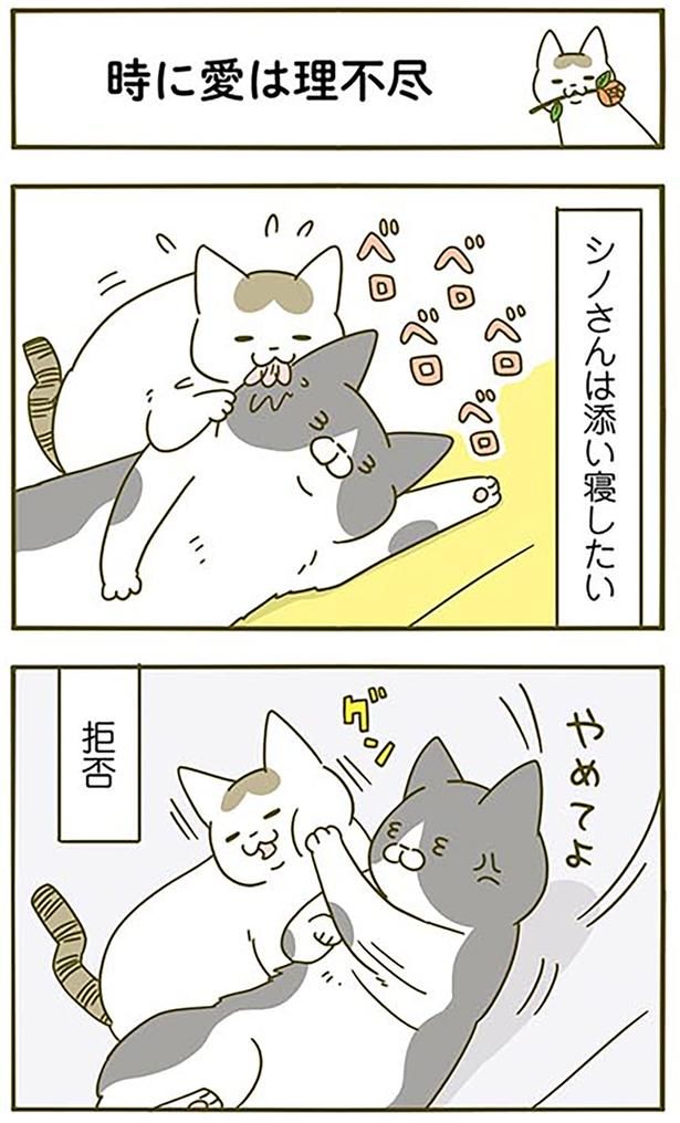 時に愛は理不尽 （C）卵山玉子／KADOKAWA