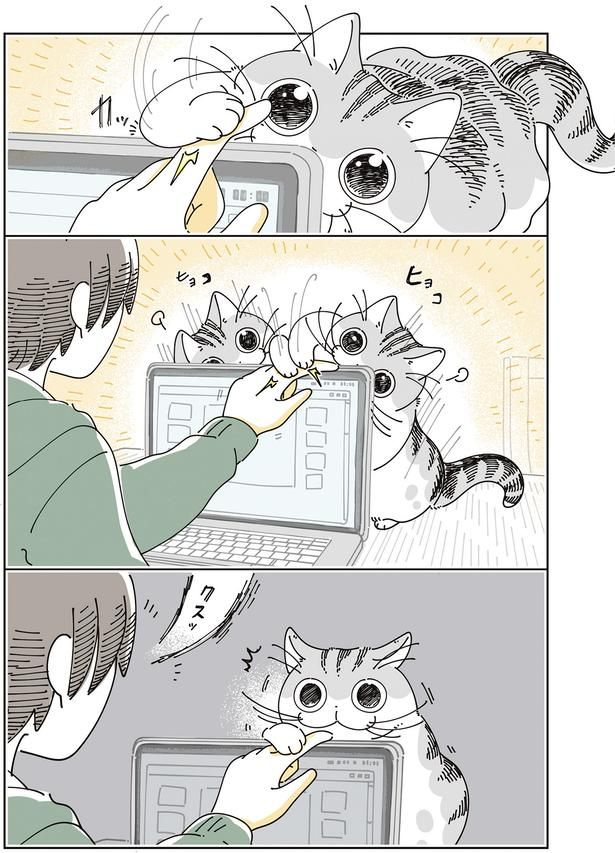 大興奮！ （C）キュルZ／KADOKAWA