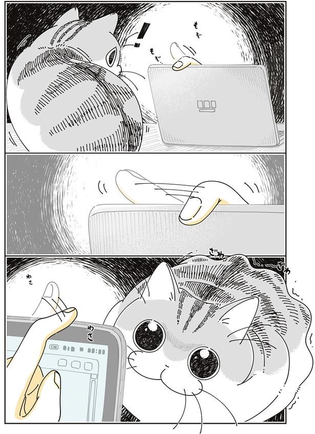 ざわざわ… （C）キュルZ／KADOKAWA