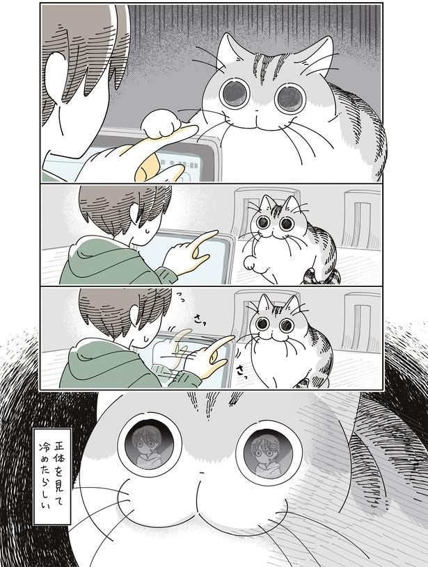 正体を見て冷めたらしい… （C）キュルZ／KADOKAWA