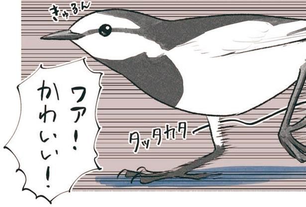 ワァ！かわいい！ （C）piro piro piccolo／KADOKAWA