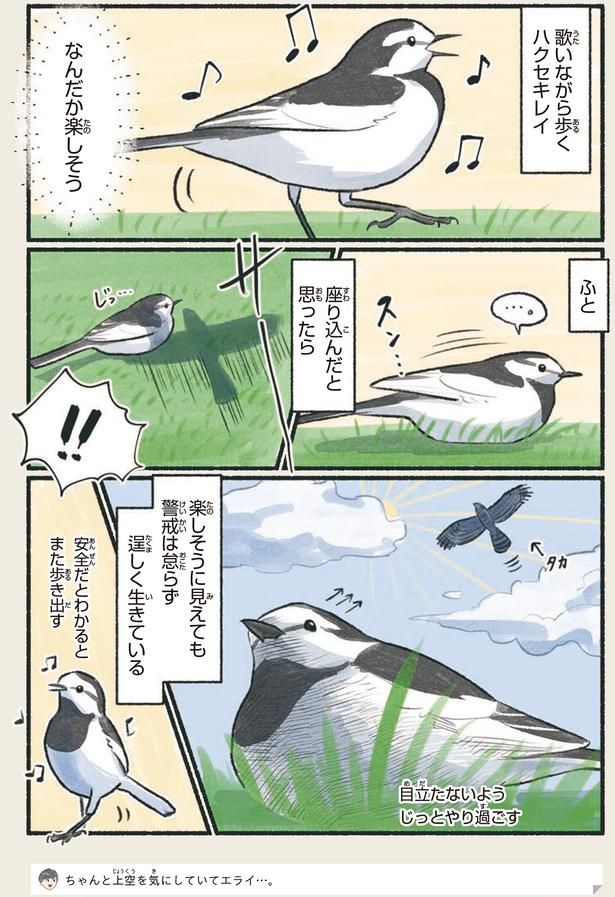 なんだか楽しそう （C）piro piro piccolo／KADOKAWA