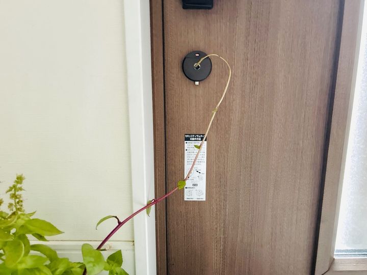 【4日ぶりに帰省先から戻ってきた】ドアを開けた息子が、思わずびっくり。「なんじゃこりゃ〜〜〜！！」