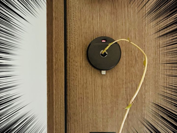 【4日ぶりに帰省先から戻ってきた】ドアを開けた息子が、思わずびっくり。「なんじゃこりゃ〜〜〜！！」