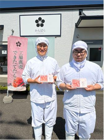 【北海道白老町】北海道・虎杖浜から工場直送！冷凍しない「できたて生たらこ」金曜日だけ全国へ発送
