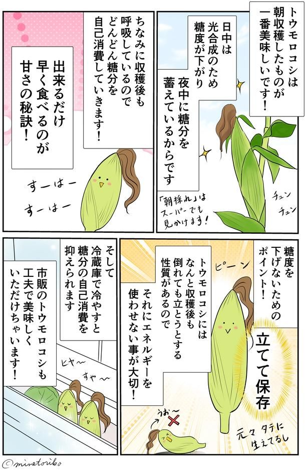 立てて保存 （C）峯鳥子