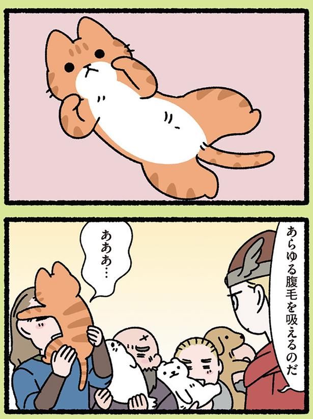 あらゆる腹毛を吸えるのだ （C）ぱんだにあ／KADOKAWA