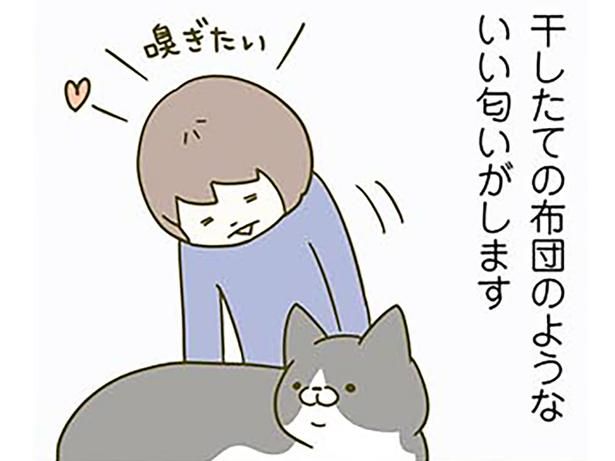 日光浴をしている猫の匂いを求めて （C）卵山玉子／KADOKAWA