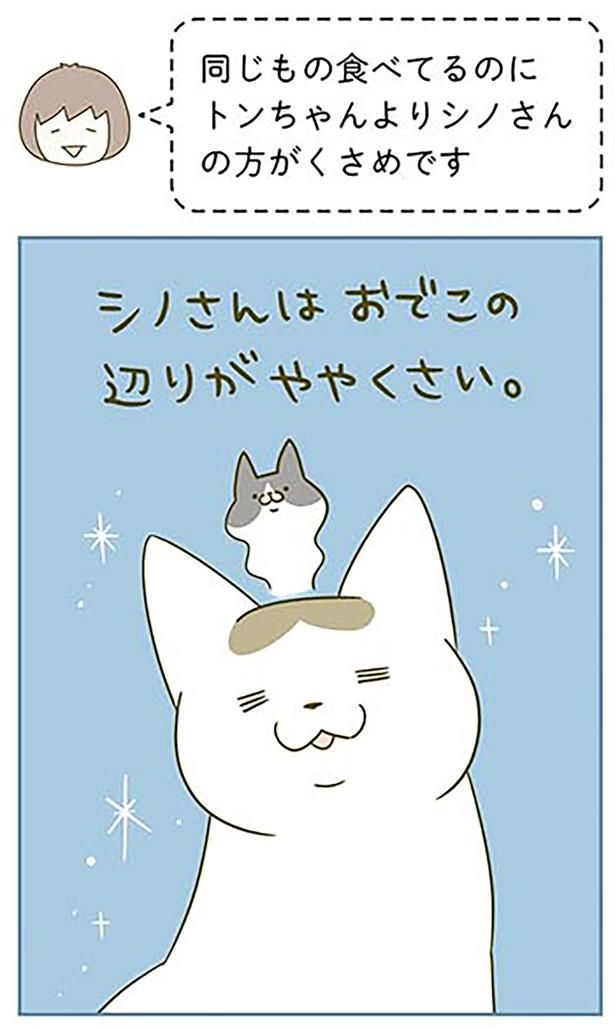 おでこの辺りがややくさい （C）卵山玉子／KADOKAWA
