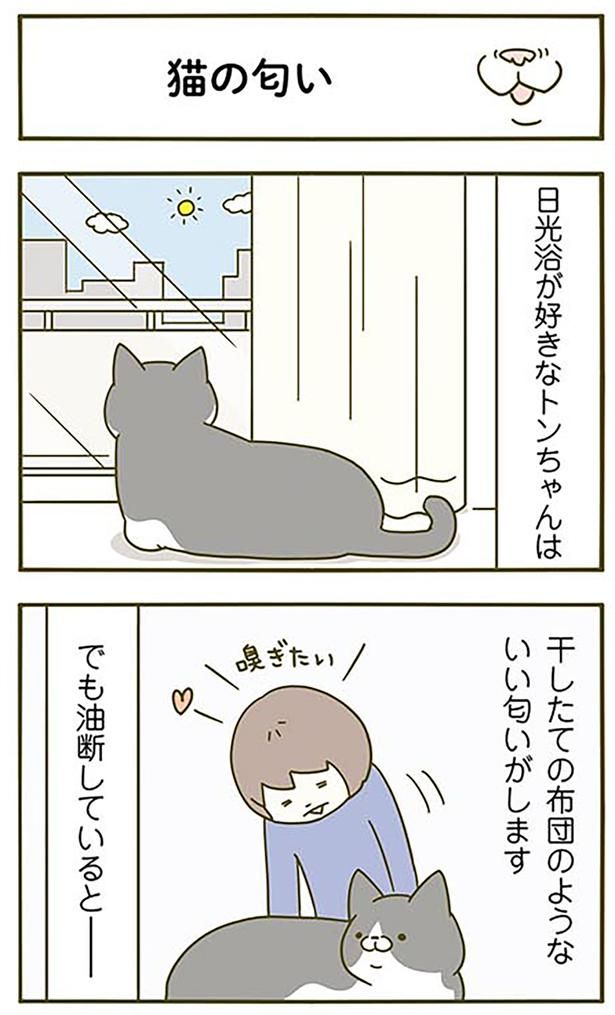 油断していると… （C）卵山玉子／KADOKAWA