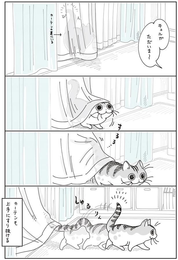 上手にすり抜ける （C）キュルZ／KADOKAWA