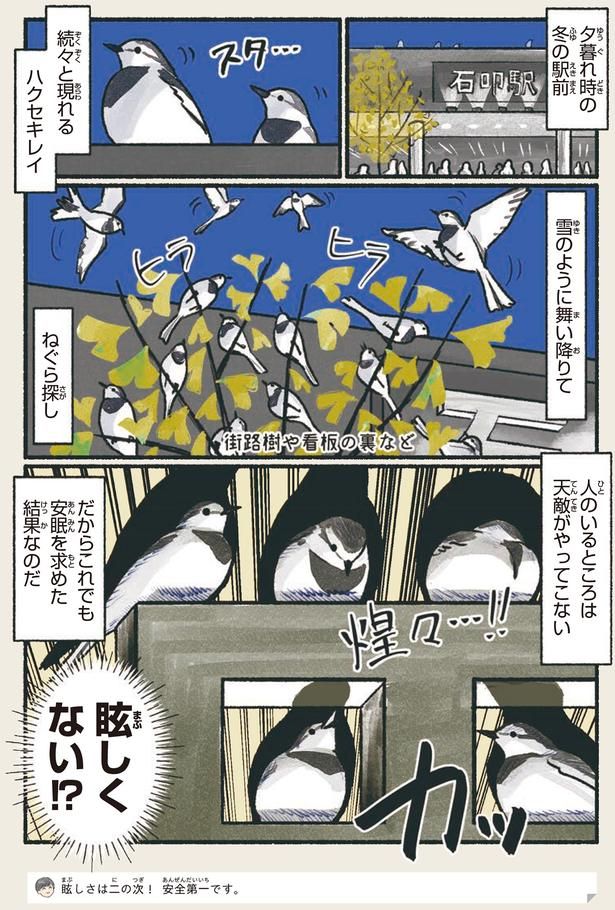 眩しくない！？ （C）piro piro piccolo／KADOKAWA