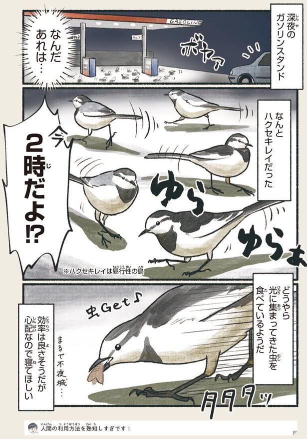 心配なので寝てほしい （C）piro piro piccolo／KADOKAWA