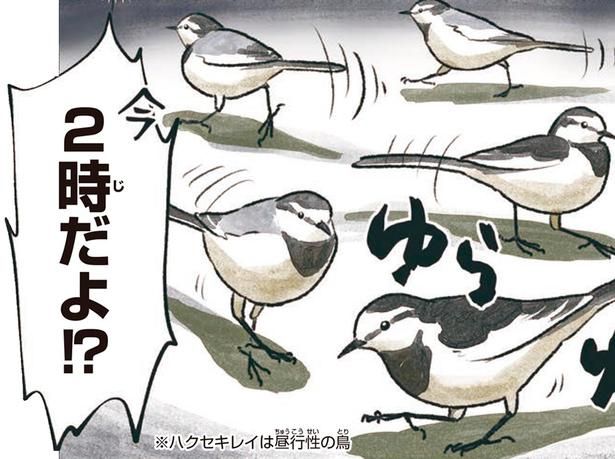 今2時だよ！？ （C）piro piro piccolo／KADOKAWA